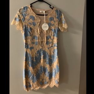 Vici Collection fitted lace dress